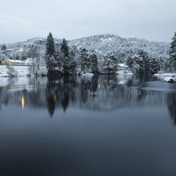 A river with some trees in the backgound covered with snow