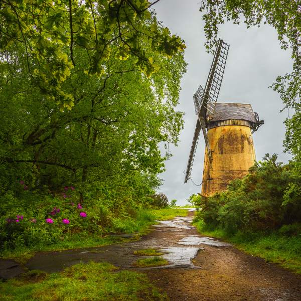 Bidston Windmill