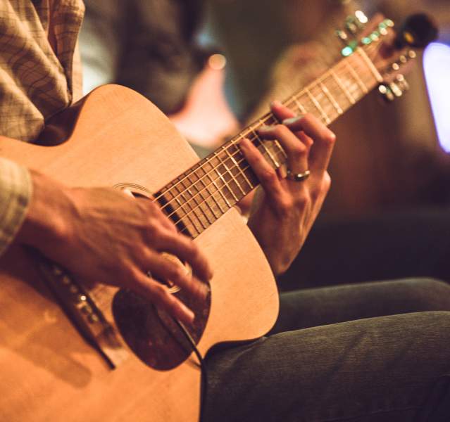 Musician Concert