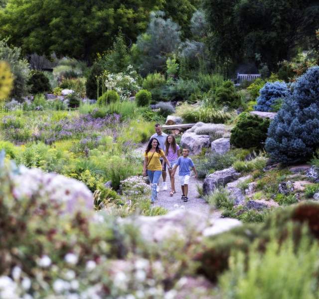 A family walks along a flower-lined path at Denver Botanic Gardens