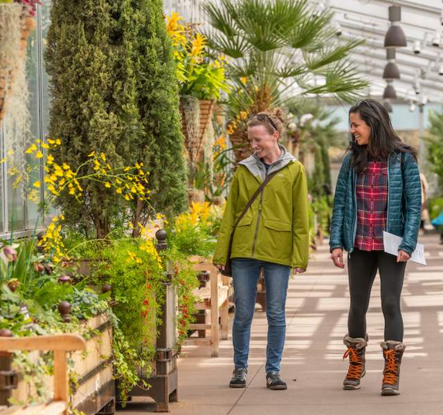 Two people walk through Denver Botanic Gardens and admire the flowers.