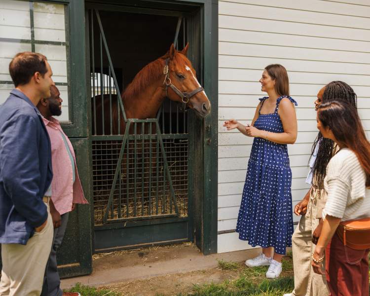 Horse Farm Tours in the Horse Capital of the World: Lexington, Kentucky