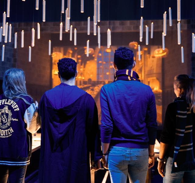 Harry Potter™: The Exhibition 1