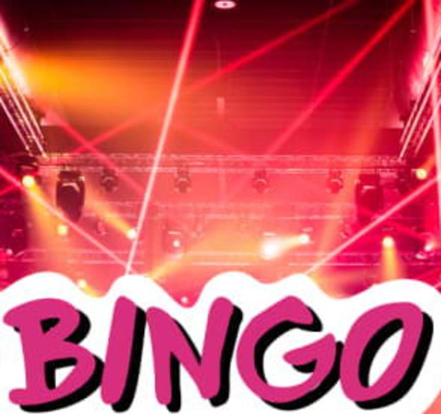 Bingo Loco: The Ultimate Bingo Party 1