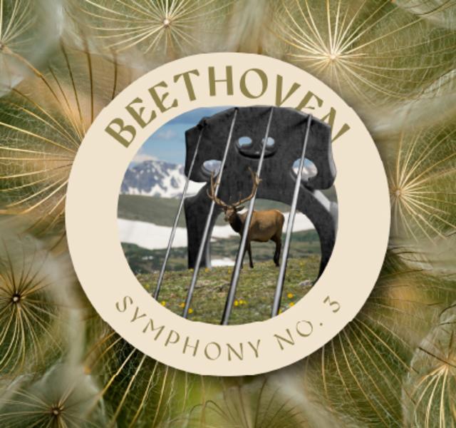Beethoven Symphony No. 3 "Eroica" 1