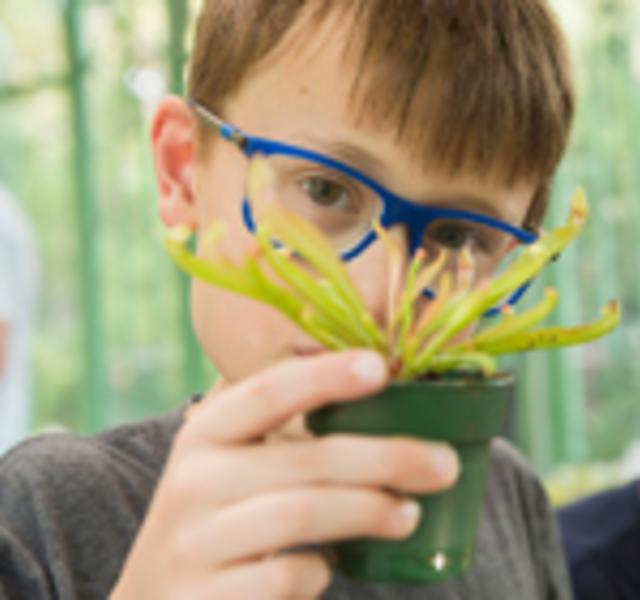 Children and Family Workshop: The Strange and Unusual World of Carnivorous Plants 1