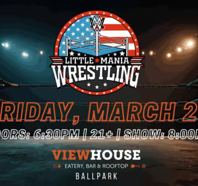 Little Mania Mini Wrestling 2