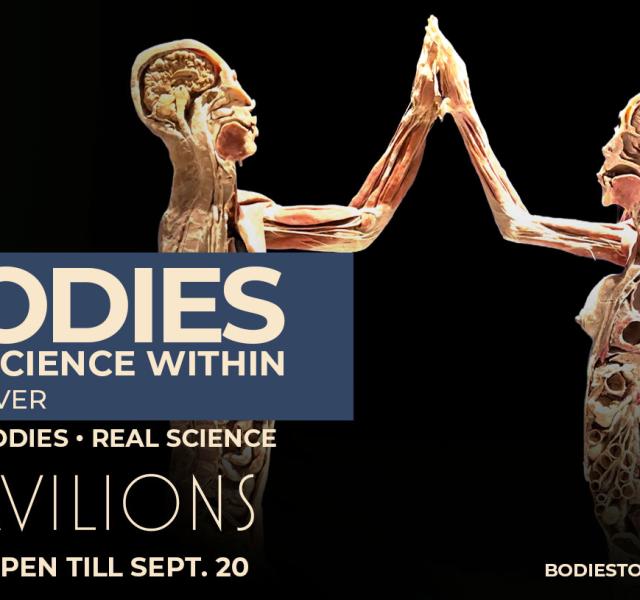 Bodies: The Science Within 1