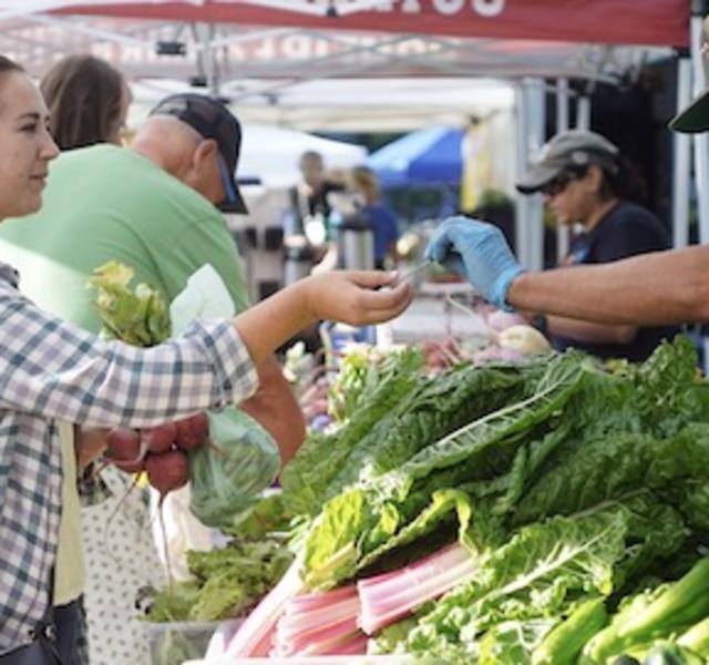 City Park Farmers Market 1