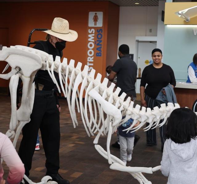 SCFD Free Day at the Denver Museum of Nature and Science