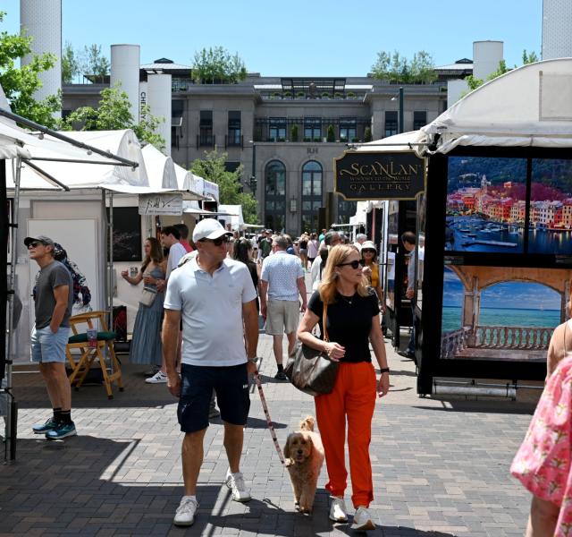 Smash Fine Arts Festival 1
