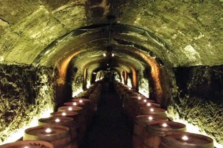 Historic Del Dotto Winery Caves Napa CA 94558