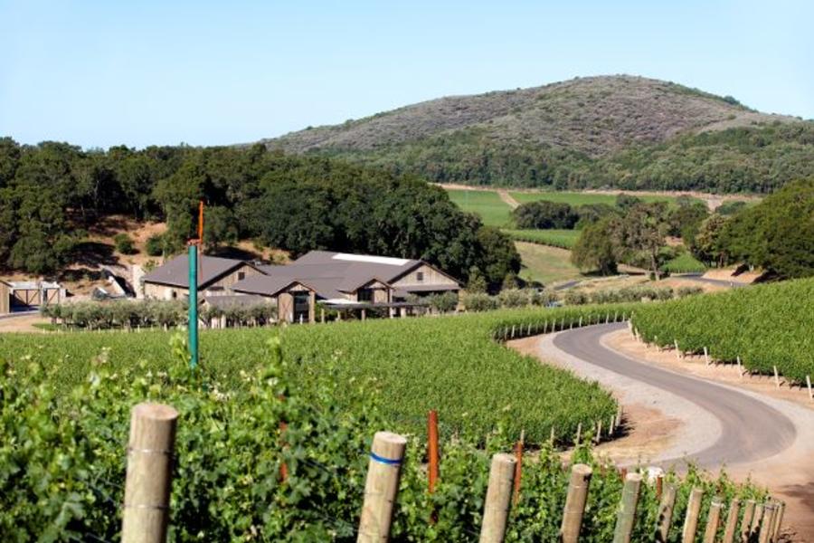 Kenzo restaurant napa ca shop