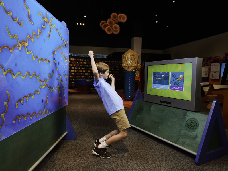 Delaware Museum of Natural History Undergoes Major Renovation in 2021