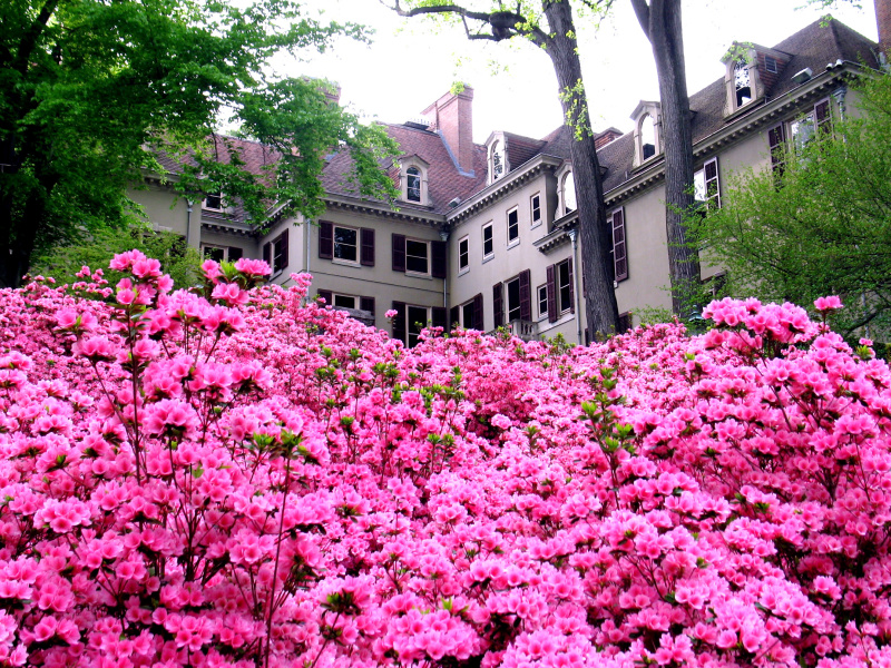 “3-2-1 Getaway” Is Back – Just in Time for Spring!