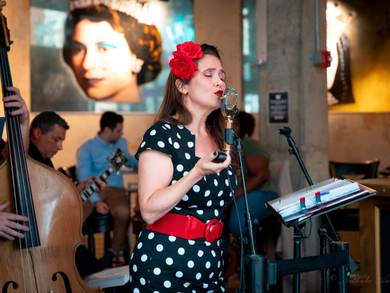 The Ladybug Music Festival