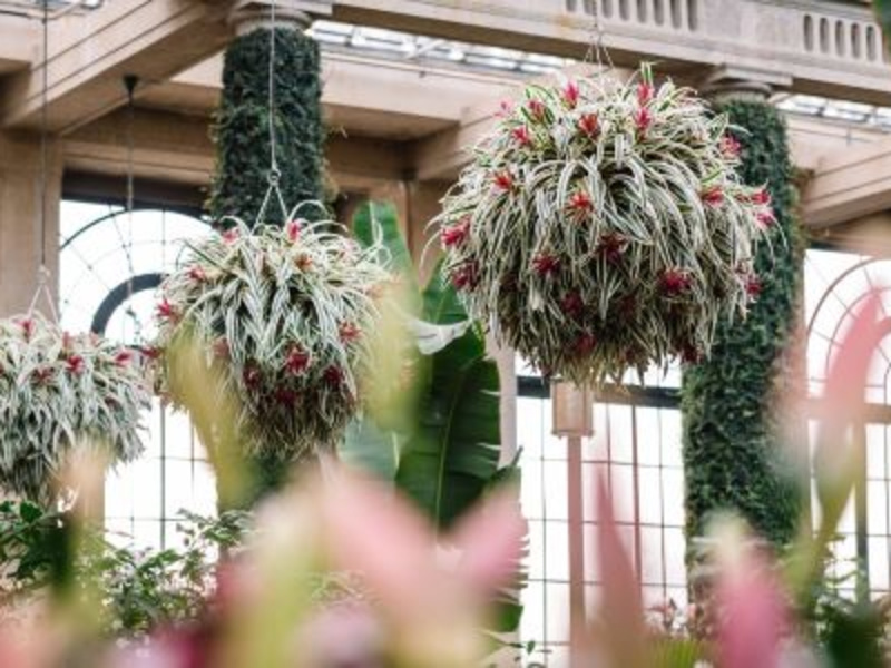 Winter Wonder at Longwood Gardens