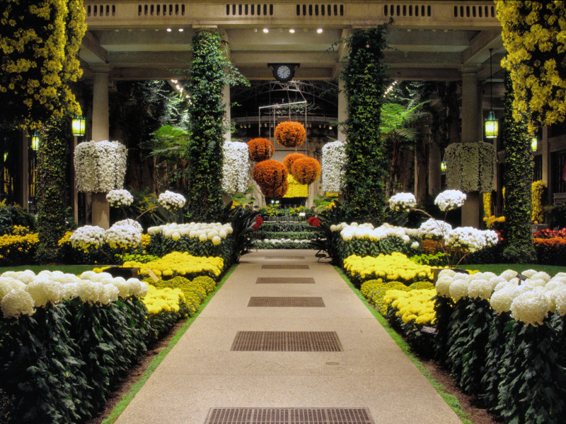 Autumn's Colors at Longwood Gardens