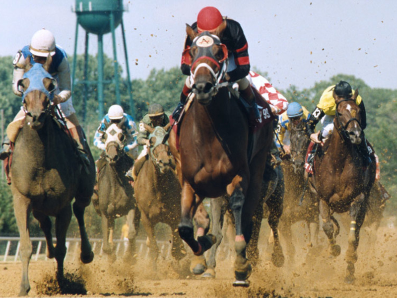 Delaware Park Casino