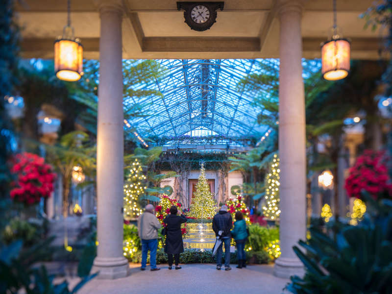 A Longwood Christmas