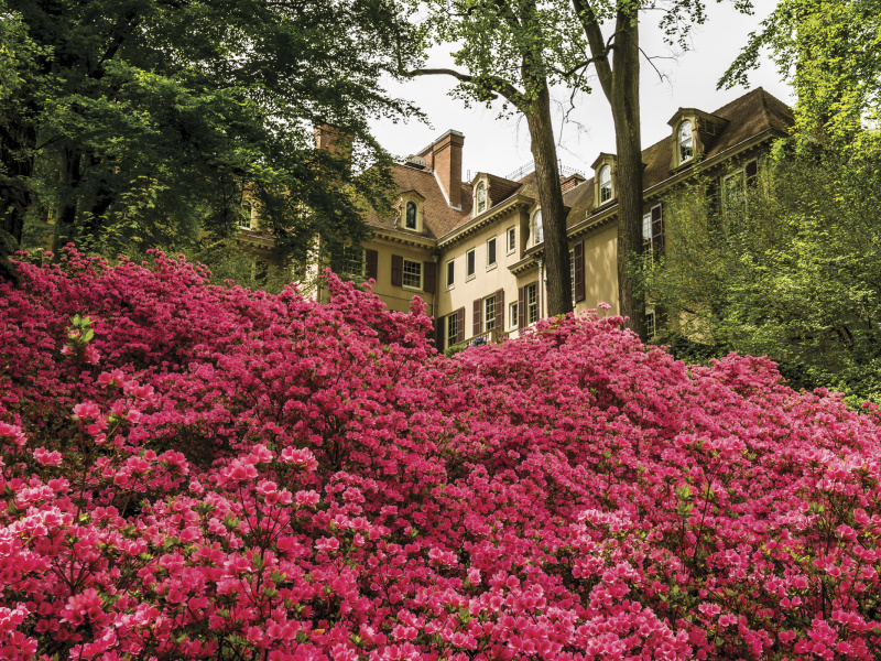 Winterthur Museum, Garden & Library