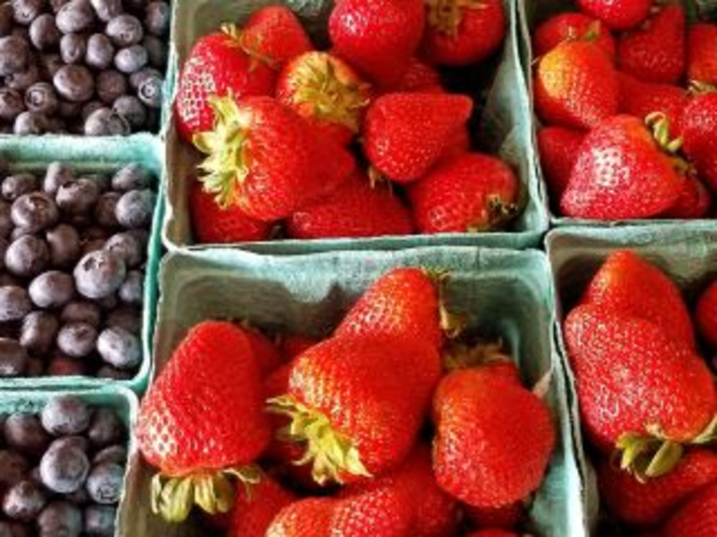 Pick Your Own at Ramsey's Farm