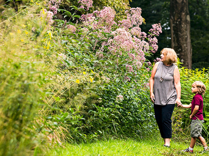 Wildflower Celebration Weekend