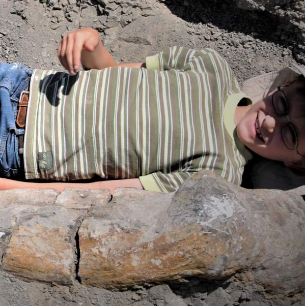 prehistoric fossil excavation