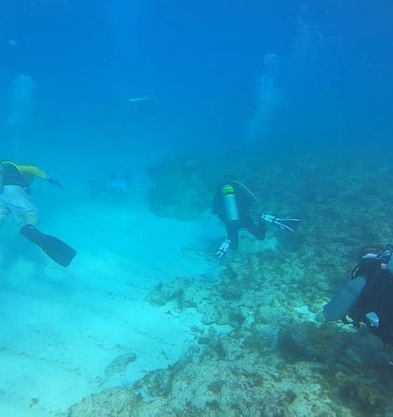 Chasin' The Sun Season 5 Episode 11: Dive Dive Fish
