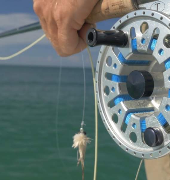 CTS S3:E8 Tarpon Is As Tarpon Does