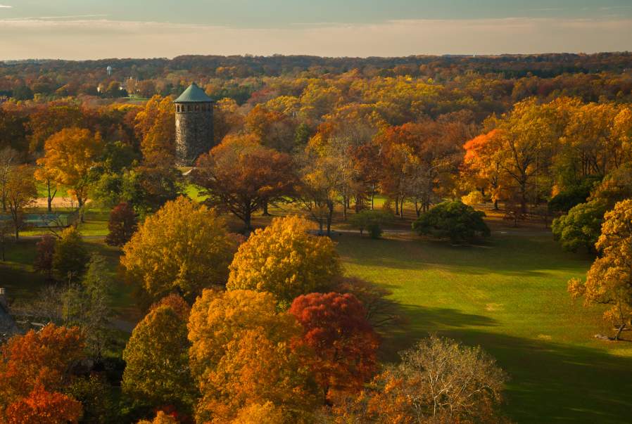 Wilmington . . . So What’s All the Buzz About?