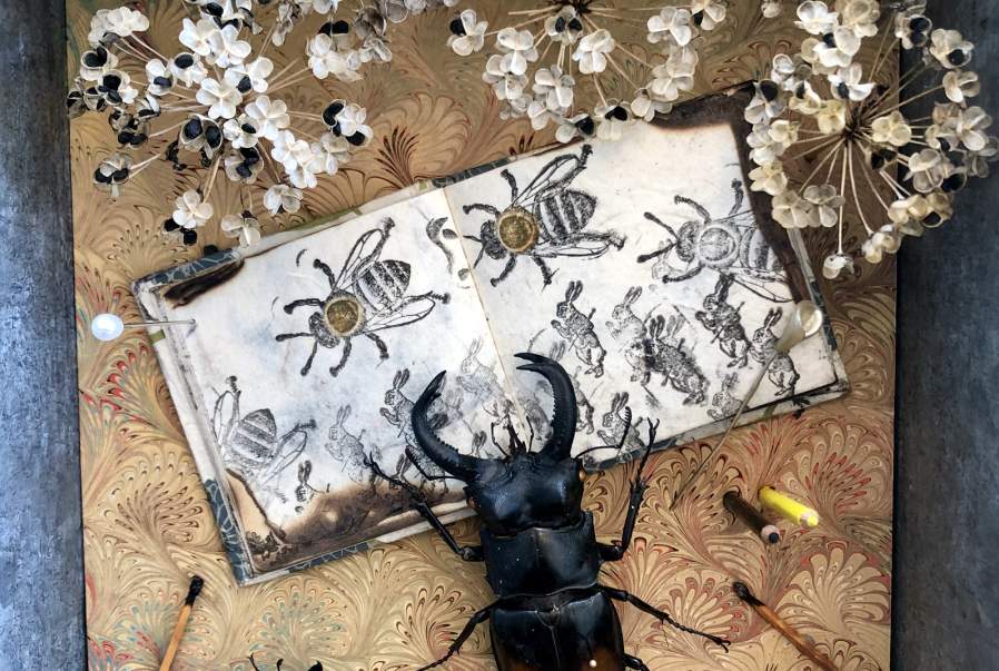 Jennifer Angus (b. 1961), Cabinet of Curiosities for Fragile Earth (detail), 2019.