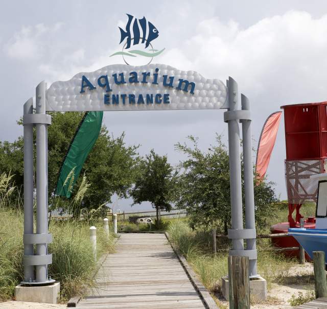 In the Spotlight: The Alabama Aquarium at Dauphin Island Sea Lab