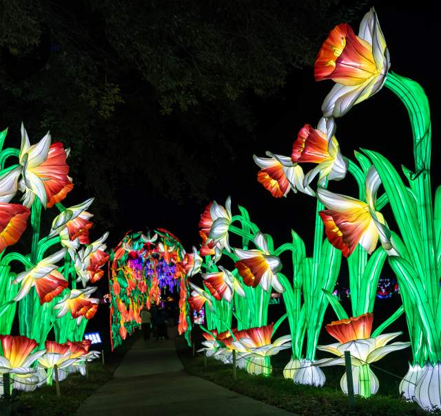 Know Before You Go: Gulf Coast Chinese Lantern Festival at Bellingrath Gardens & Home