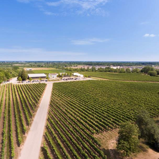 Ravine estates