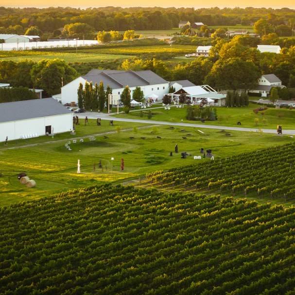 Aerial of winery & vineyard