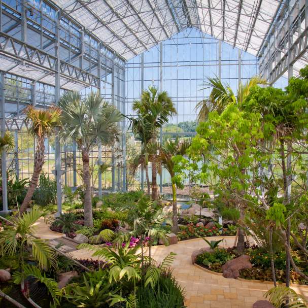 Nicholas Conservatory