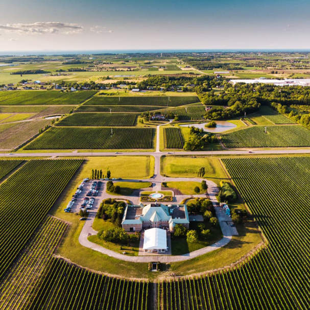 Chateau des Charmes Winery