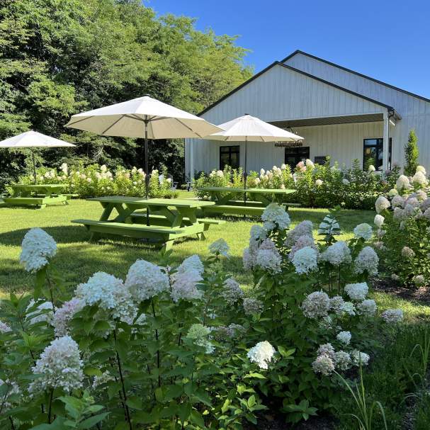 Sons & Daughters Winery