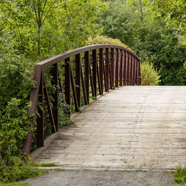 Stevensville Conservation Area
