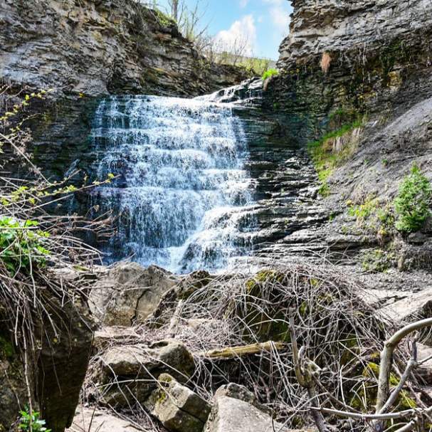 Rockway Conservation Area