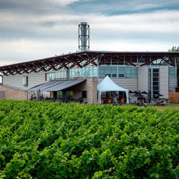 Jackson-Triggs Niagara Estate Winery