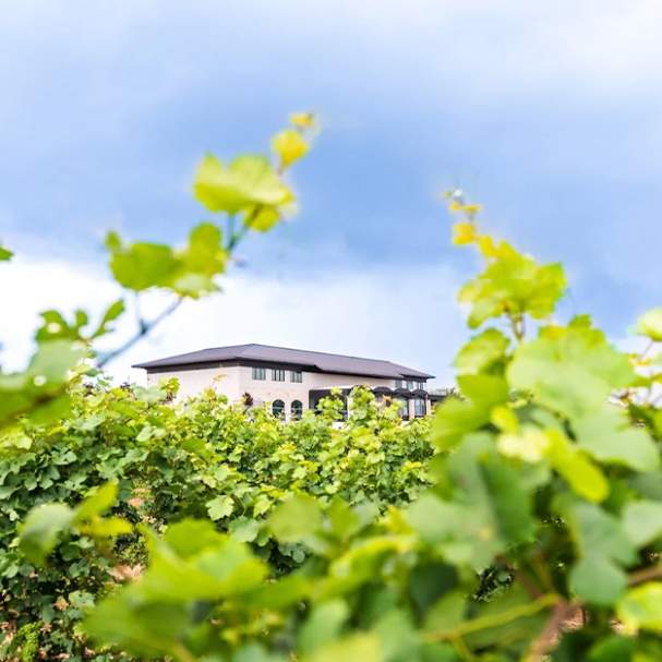 Megalomaniac Winery John Howard Cellars of Distinction