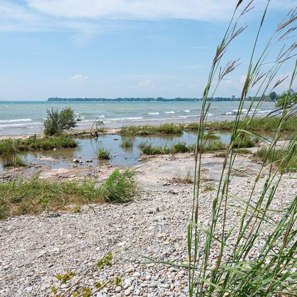 Morgan’s Point Conservation Area