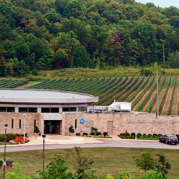 Niagara College Teaching Winery
