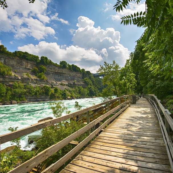 White Water Walk