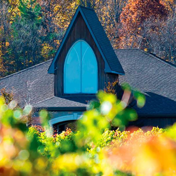 Ridgepoint Wines