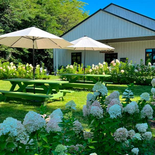 Sons & Daughters Winery