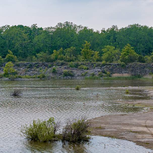 Wainfleet Wetlands Conservation Area