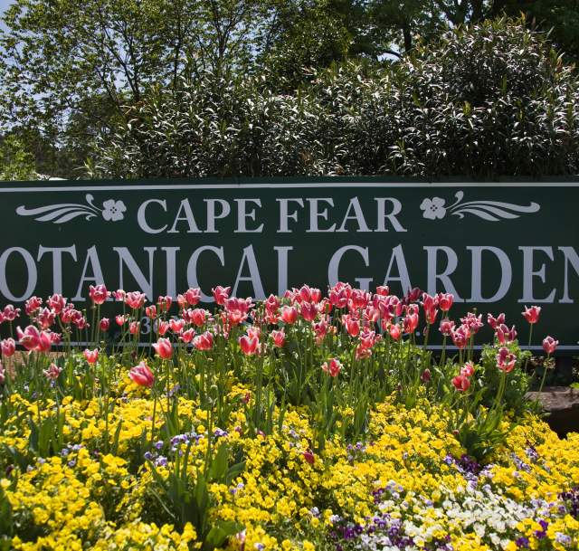 Cape Fear Botanical Garden Sign